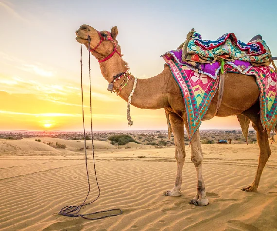 rajasthan